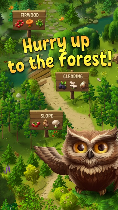 Forest Bounty Screenshot