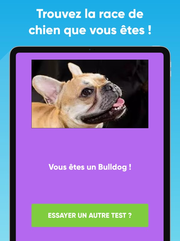 Screenshot #5 pour Quel type de chien êtes-vous ?