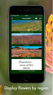 wildflowers of south africa problems & solutions and troubleshooting guide - 2