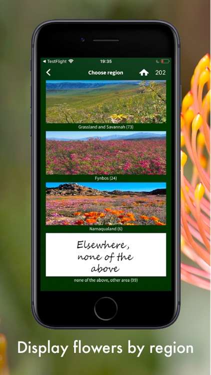 Wildflowers of South Africa screenshot-7
