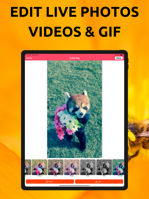 Screenshot #6 pour Gif Converter : Live Wallpaper