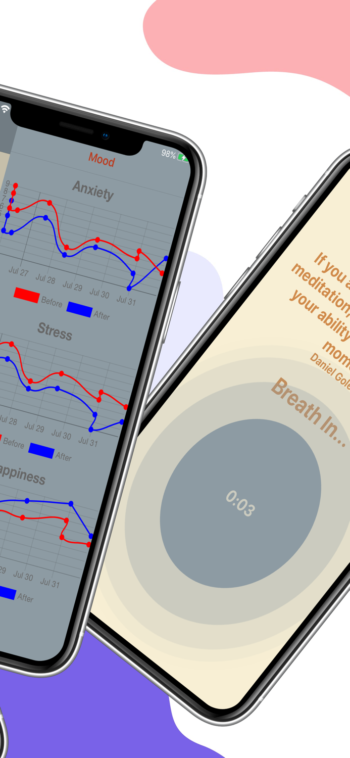 Wellness Meditation Journal