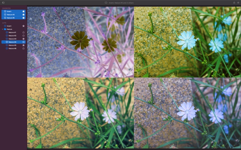 Screenshot #3 pour LUT Viewer