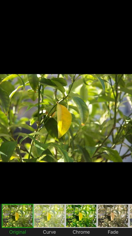 叮当视频图片编辑