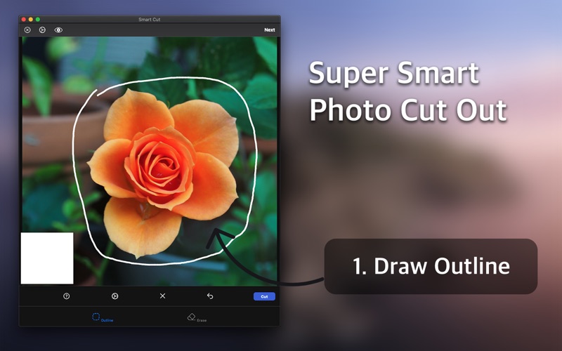 How to cancel & delete smart cut : background eraser 2