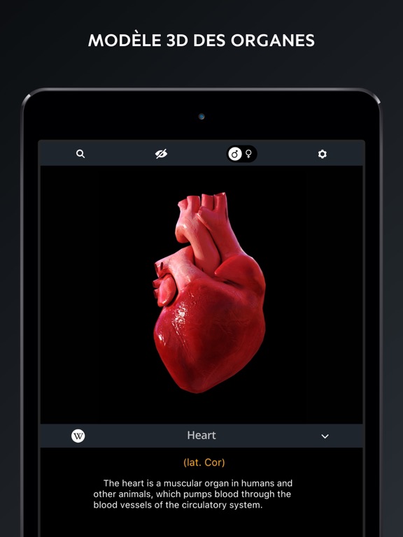 Screenshot #6 pour Corps Humain: Atlas Anatomie