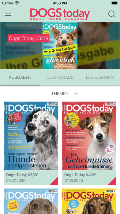 DOGStoday Magazin Screenshot