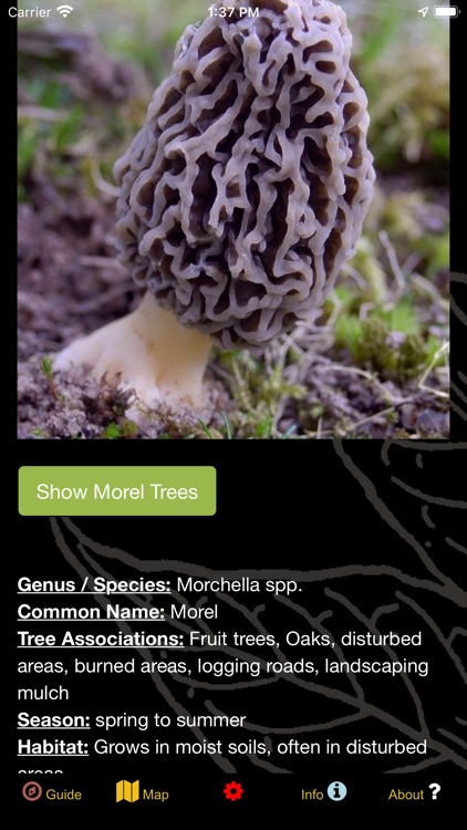 Oregon NW Mushroom Forager Map screenshot-5