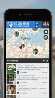 big city birds | spotteron iphone screenshot 4