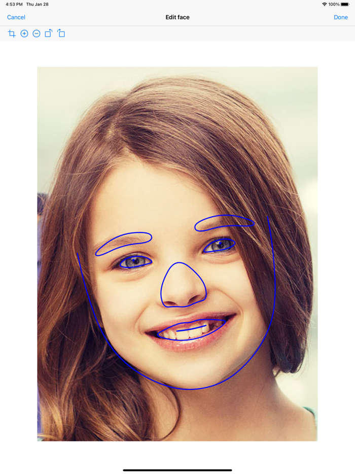 Face Video Morph Animator