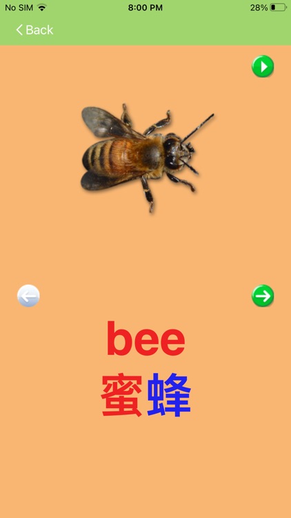 KnowleKids Chinese Flashcards screenshot-5