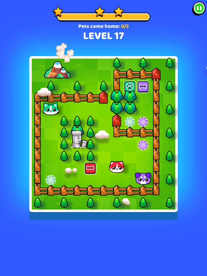 Pets Escape Dogs  Cats