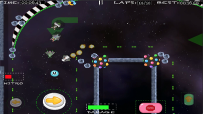 Arcade Critters - Racer Screenshot