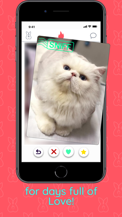 Hot-Pet Screenshot