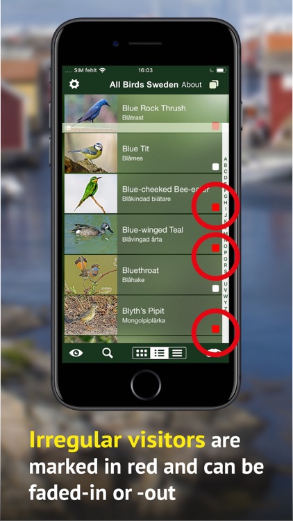 All Birds Sweden - Photo Guide screenshot-5