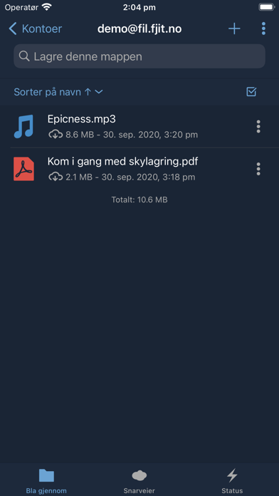 Internsky Screenshot