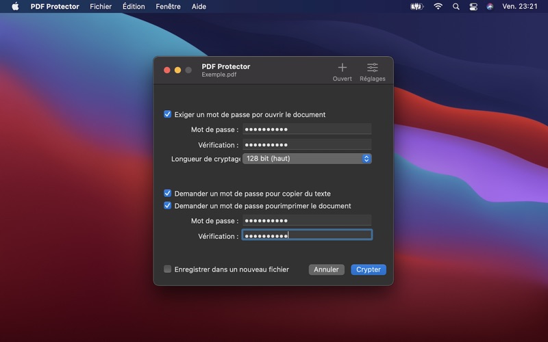 Screenshot #3 pour PDF Protector