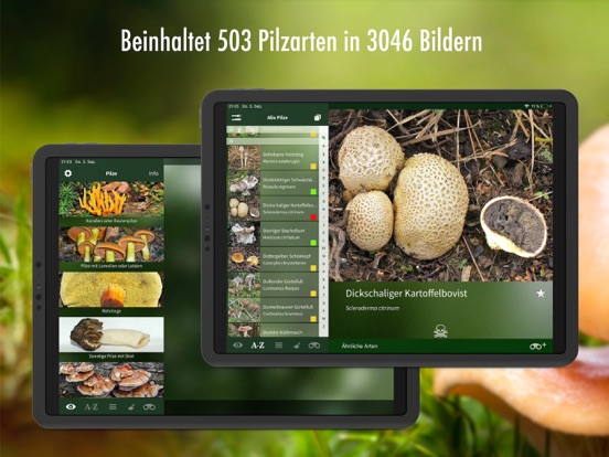 Screenshot #6 pour Pilzführer Schweiz – Pilze Pro