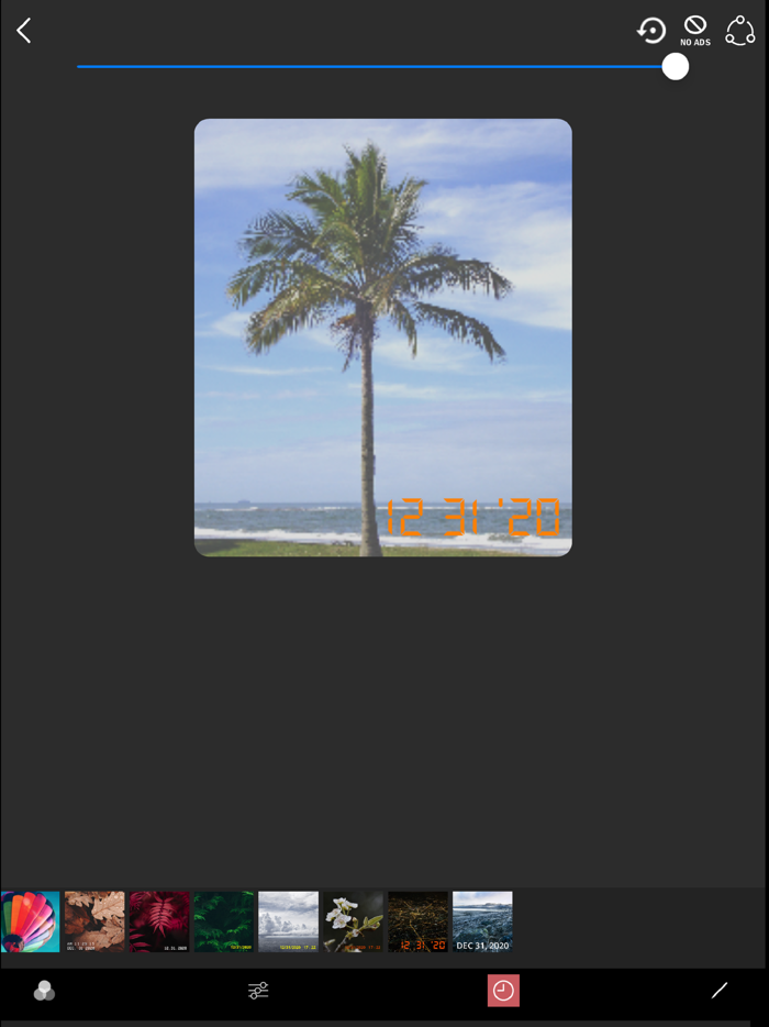 Date Stamps Disposable Camera