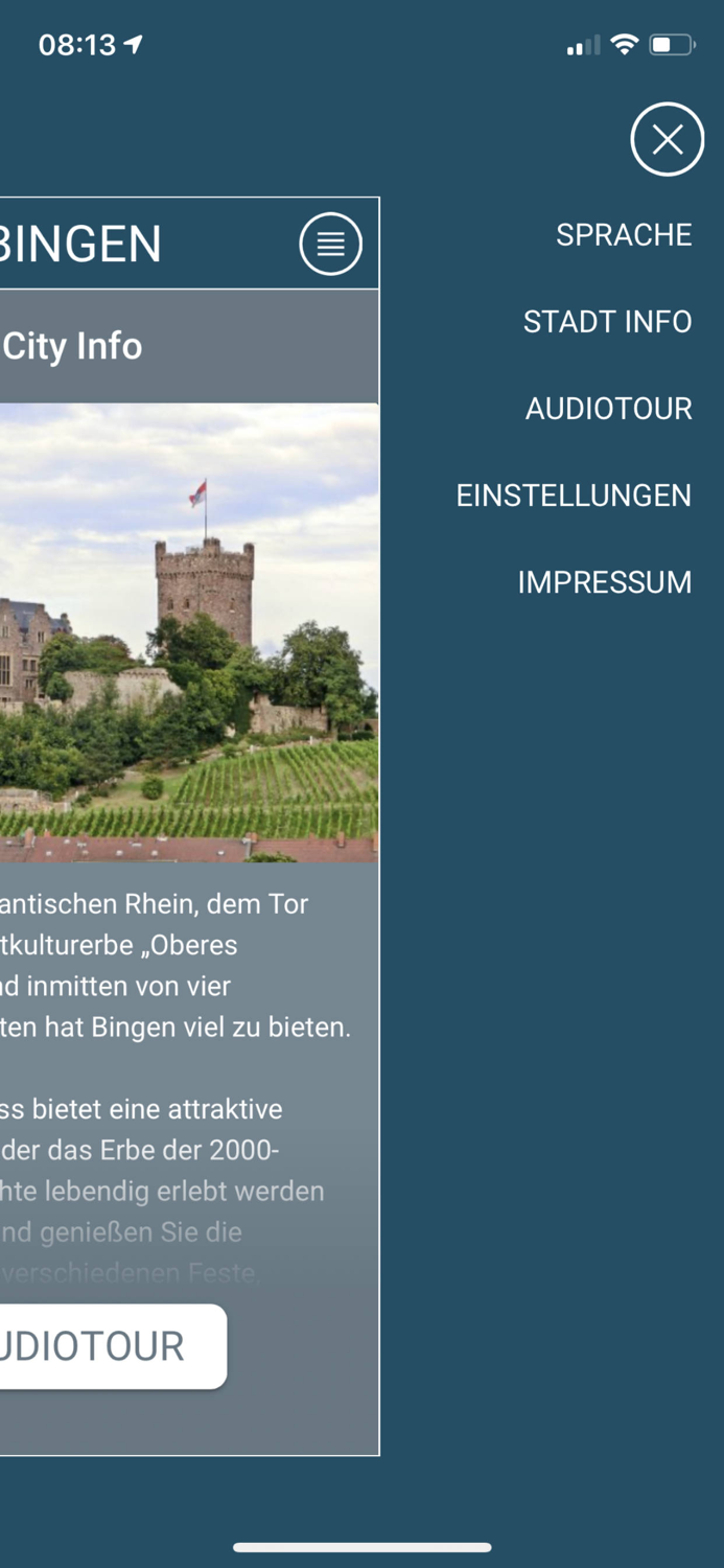 Bingen am Rhein City Guide