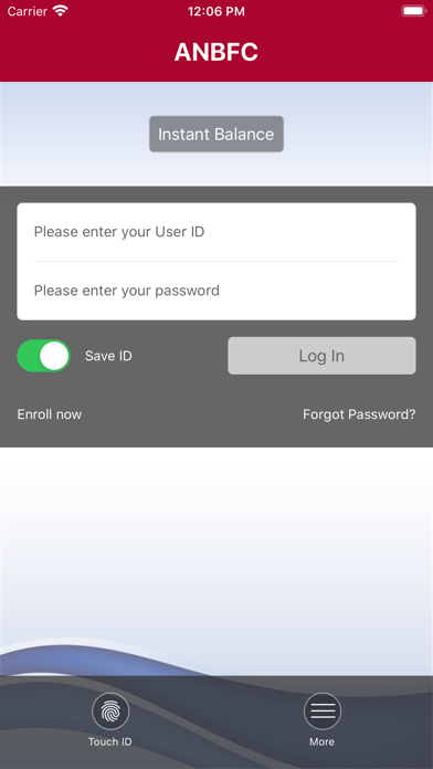 American National Bank Screenshot