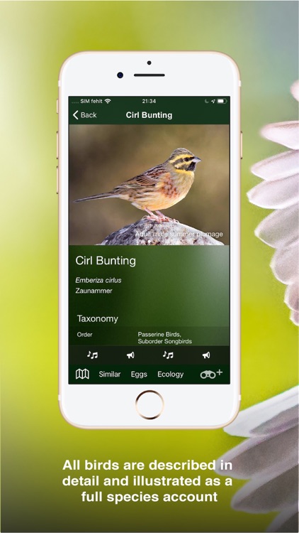 All Birds UK - the Photo Guide screenshot-3