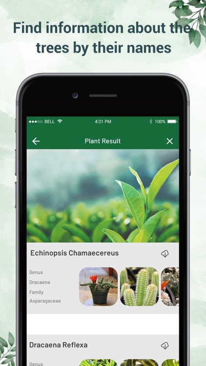 Plant Identifier - Plant ID screenshot-4