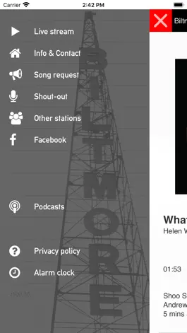 Game screenshot Biltmore Radio apk