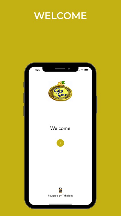 Ginger Indian Steet Food