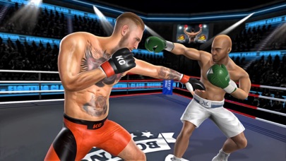Real Punch Boxing Revolution Screenshot