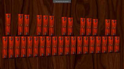 Real Xylophone - Learn & Play Screenshot