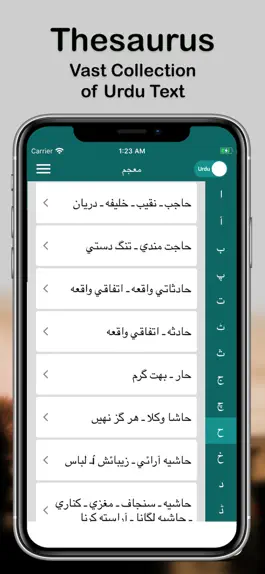 Game screenshot English Urdu Q-Dictionary apk