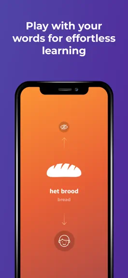 Game screenshot Learn Dutch language - Drops apk