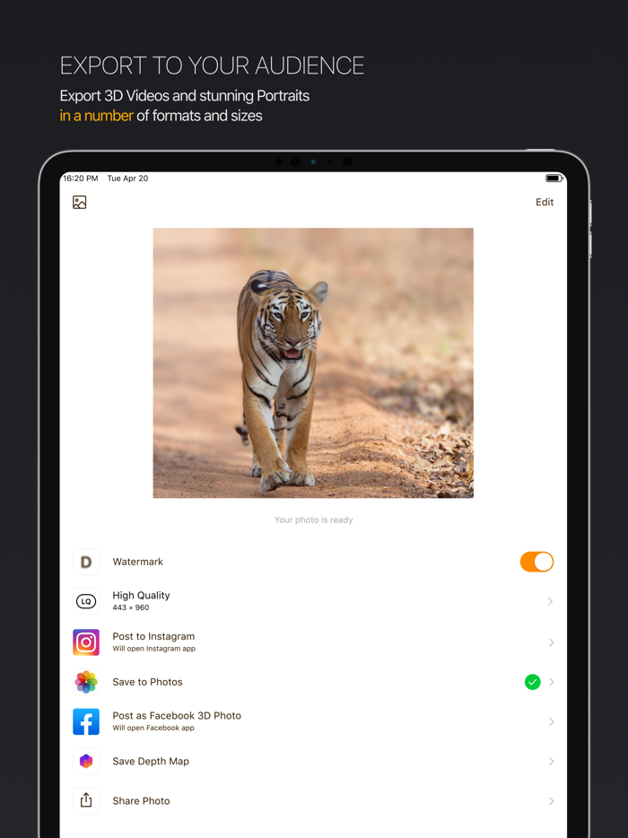 DPTH PRO AI 3d-photo editor