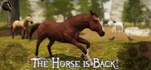 Ultimate Horse Simulator 2 screenshot #2 for iPhone