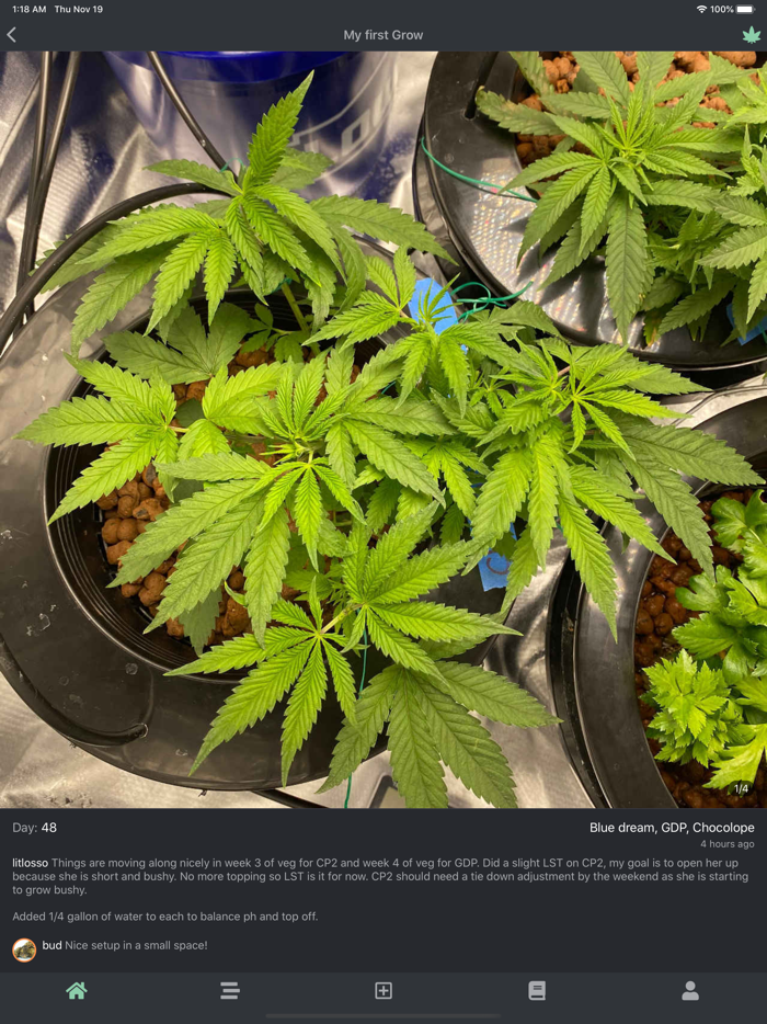 bud - Grow Journal and Community