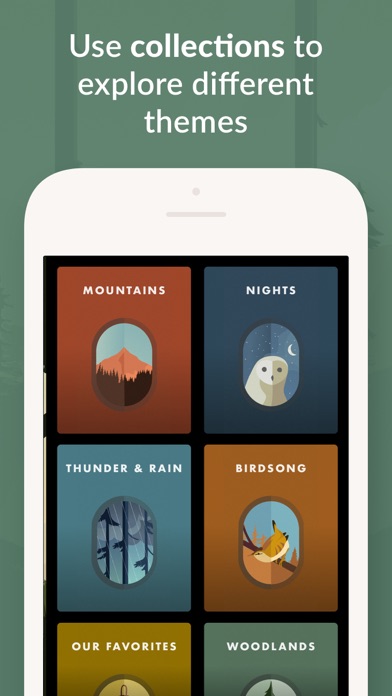 Wild Journey - Nature Sounds Screenshot