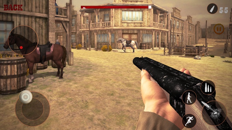 Frontier Of Wild West