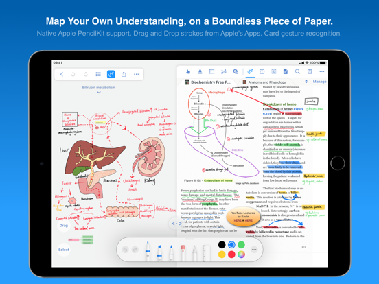 MarginNote 3のおすすめ画像4