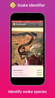 snake identifier iphone screenshot 1