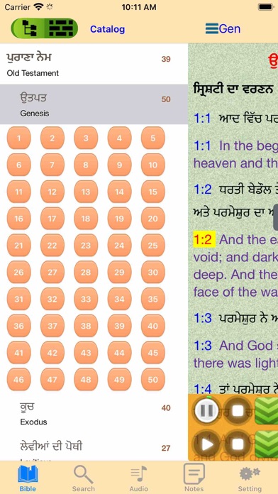 Punjabi English Audio Bible Screenshot