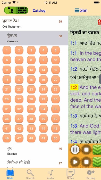 Screenshot #2 pour Punjabi English Audio Bible