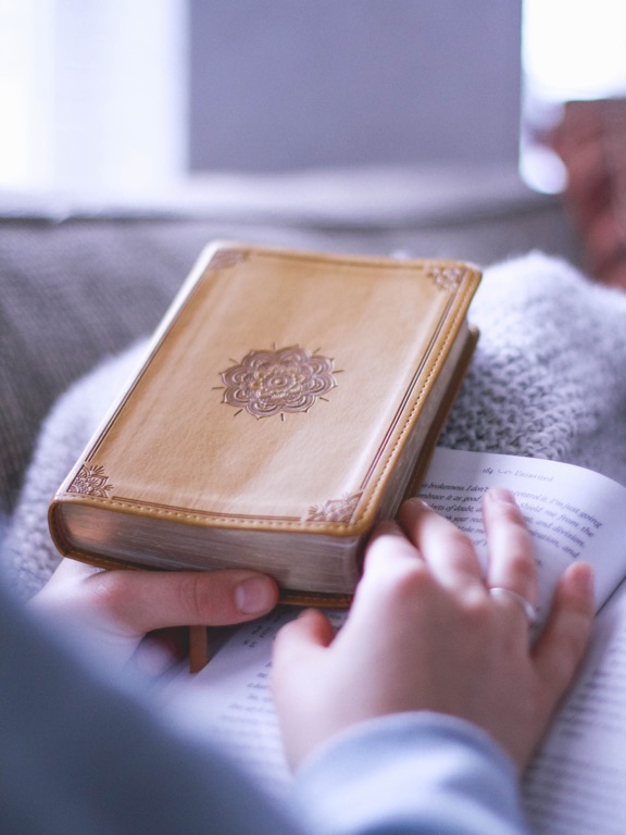 寻语 iPad screenshot 1 - Reference app