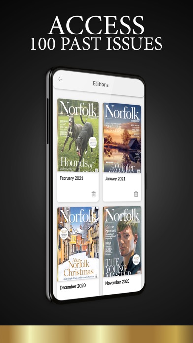 Norfolk Magazine Screenshot