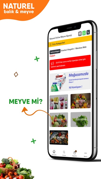 Naturel Balık & Meyve