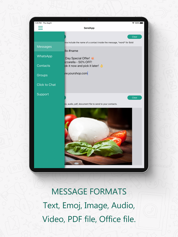 Screenshot #5 pour SendApp Professional