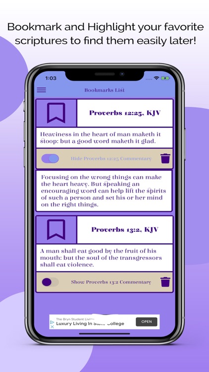 Caranba Proverbs Commentary screenshot-5