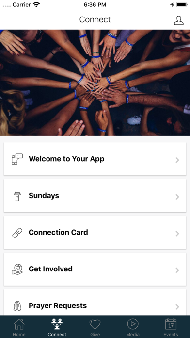 App screenshot