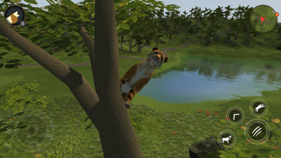 Asian Tiger Survival Simulator Screenshot