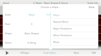Scales For Bass Guitar Screenshot